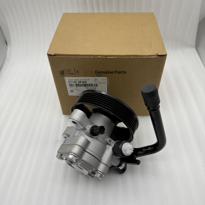 微信图片_20250616152359 Power Steering Pump w/Pulley 571002P350 57100-2P300 for 2005-2010 Hyundai Azera High Grade