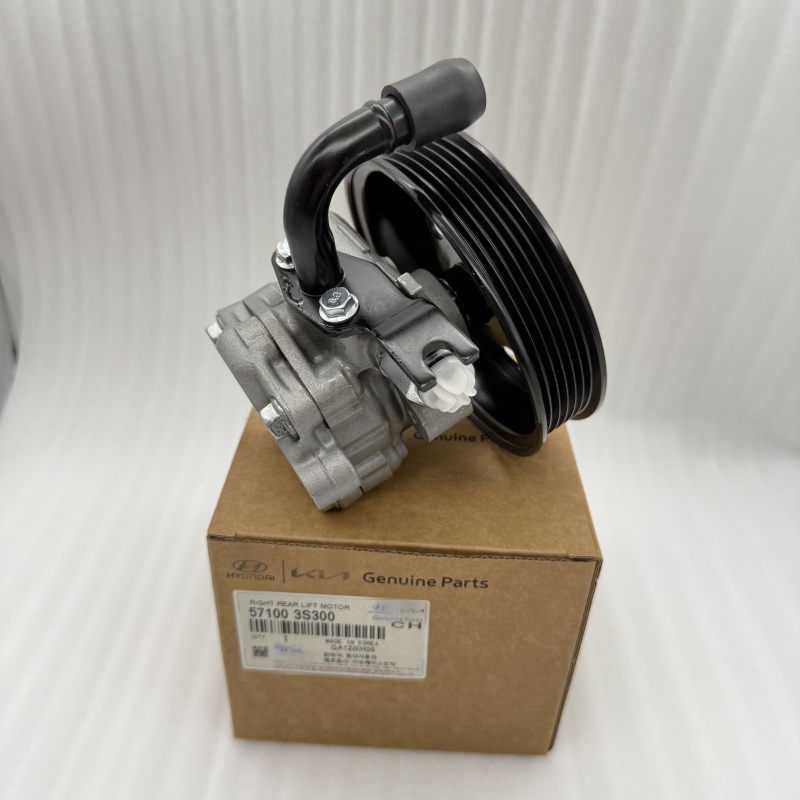 微信图片_20250616160640 Genuine Power Steering Oil Pump 571003R000 571003S300 for Kia Cadenza
